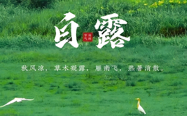 天水白露润秋，致兴立群与您共筑坚固未来
